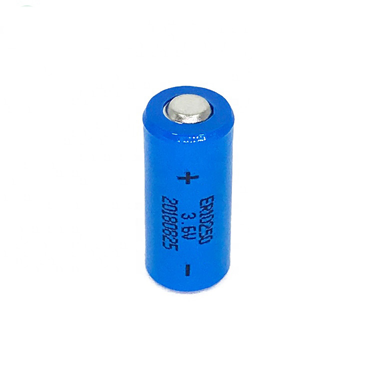 ER10250 Energy Type Li-SOCl2 Battery