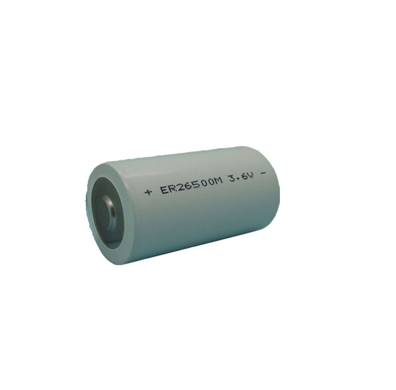 ER26500M Power Type Li-SOCl2 Battery