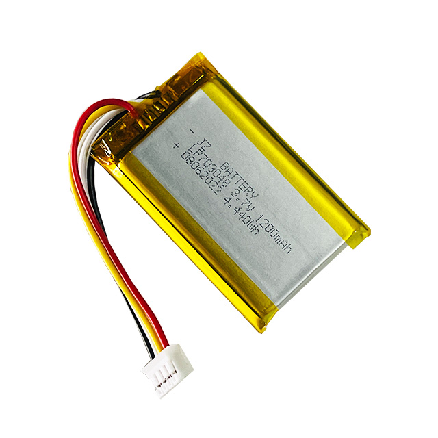China's Lithium-ion materials speed up 'sea journey'