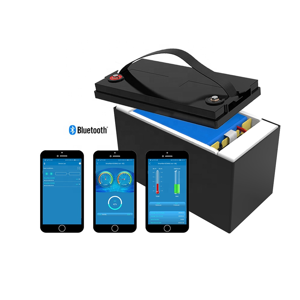 How to distinguish lithium ion titanate battery from lithium ion iron phosphate 